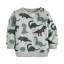 Jungen-Sweatshirt mit Dinosauriern 7