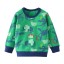 Jungen-Sweatshirt mit Dinosauriern 8