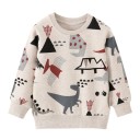 Jungen-Sweatshirt mit Dinosauriern 12