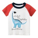 Jungen-T-Shirt mit Dinosaurier B1590 5