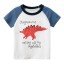 Jungen-T-Shirt mit Dinosaurier B1590 4