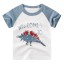 Jungen-T-Shirt mit Dinosaurier B1590 6