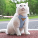 Justerbart sele til katte og små hunde XS Åndbart sele med net og snor Komfortabel udendørs sæt 6
