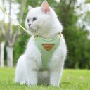Justerbart sele til katte og små hunde XS Åndbart sele med net og snor Komfortabel udendørs sæt 7