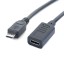 Kabel USB-C na Micro USB F/M 27 cm 2