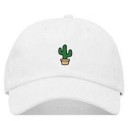Kaktushat 4