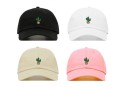 Kaktushat 2