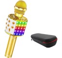 Karaoke LED Microphone 3