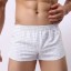 Karierte Herren-Boxershorts A2477 2