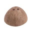 Καταφύγιο για ερπετά από καρύδα 3