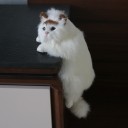 Kattedekoration 5
