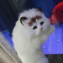 Kattedekoration 3
