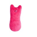 Kattenspeeltje voor het knarsen van tanden en klauwen Bijtspeeltje Interactief pluchen speeltje voor katten 9,5 x 4 cm 2