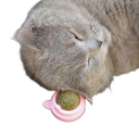 Katteurt legetøj 2