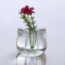 Kattevase 2