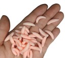 Keinotekoinen syötti 2 cm 100 kpl 3