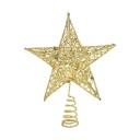 Kerstster op de boom 5