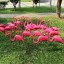 Kerti leszúrható dekoráció flamingó 2