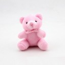 Keyring with Plush Bear 2