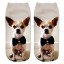 Kinder-Socken – Hunde 4