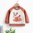 Kinder-Sweatshirt L534 11