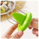 Kiwi-viipaloija 2
