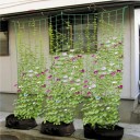 Klimplantennet H883 4