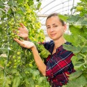 Klimplantennet 2