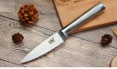 Knivsæt i rustfrit stål - 6 dele 5