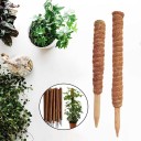 Kokosnootsteunpaal voor klimplanten 2