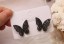 Kolczyki motyle damskie z cyrkoniami 8
