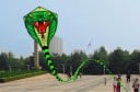 Kolorowy latający smok w kształcie węża 70 x 80 cm z 8 m długim ogonem Lekki poliesterowy drak do użytku na zewnątrz dla dzieci i dorosłych 2