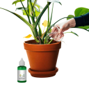 Koncentrované tekuté hnojivo pro rostliny 50 ml podpora růstu a zakořenění organický roztok zelený pro pokojové i venkovní použití 5
