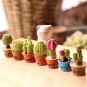 Koristeellinen miniatyyrikaktus 2
