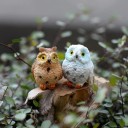 Koristeellinen miniatyyripöllö 5