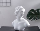 Koristeellinen rintakuva 10