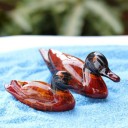 Koristeelliset miniatyyriankat 2 kpl 2
