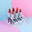 Kosmetik-Organizer für Lippenstifte 2