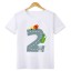 Koszulka dziecięca T2538 2