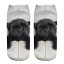 Kotníkové ponožky - Pes 8