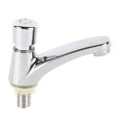 Kraan voor wastafel met zelfsluitende drukknop van koperlegering, spaarzaam, staand met automatische waterafsluiting, zilver, voor badkamer en toilet 1