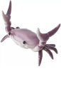 Krabbe blyantholder 4