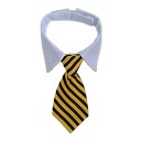 Krage med slips 4