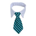 Krage med slips 5