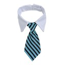 Krave med slips 6
