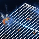 Κρεμαστό UV παγίδα εντόμων 2