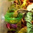 Krmítko à vers pour reptiles 2