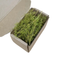 Kuivatut mallit kasvillisuuslaatikoissa 10,5 × 5,3 × 5,3 cm Luonnollinen koriste dioraameihin ja mallimaisemiin 2