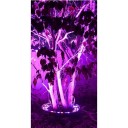Kültéri LED gyűrűs lámpa fa körül 12 W 220 V vízálló 310 mm átmérőjű lila fény a kert és a park megvilágításához 2
