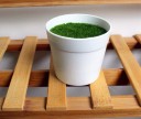 Kunstgras in een pot 1